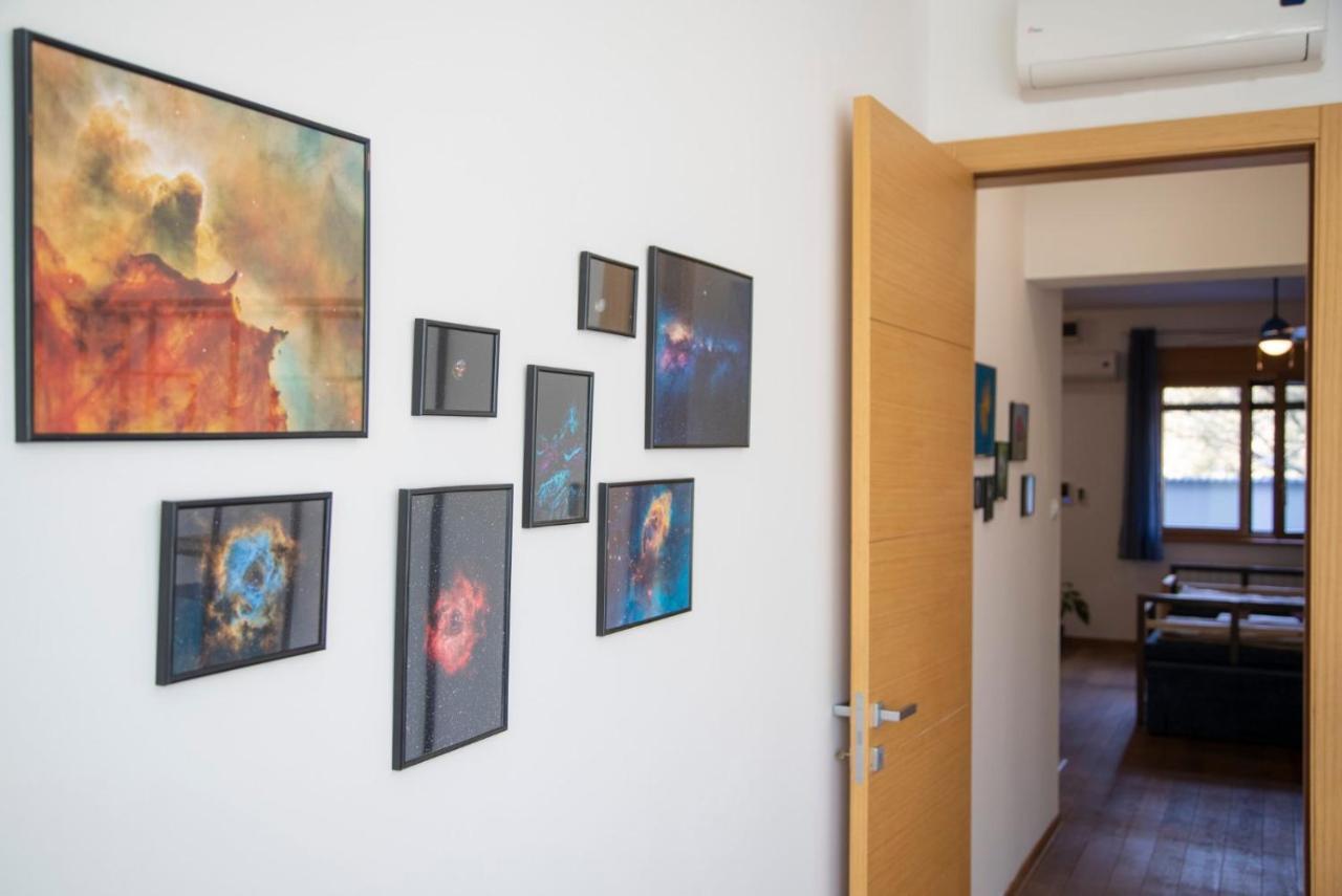Sava Apartment Нови Сад Екстериор снимка